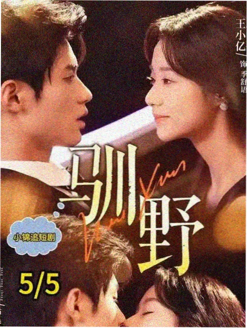我的解放日志剧志条目插图
